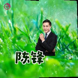 陈锋